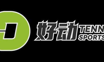 涨球了就得夸！王欣瑜不敌四号种子阿尼西莫娃止步16强，刷新澳网最好战绩