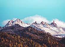 乐鱼体育官网-赛后采访Tarzan Kael：尽可能打到决赛，一步一个脚印走上去